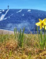 Der Winter ist im Frühling noch nicht ganz fertig und kann immer noch für ein paar Überraschungen gut sein © Martin Bloch