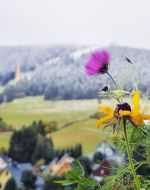 Der winterliche Polarwirbel sorgt für einem markanter Wetterwechsel vom Spätsommer in den Vollherbst mitsamt frühwinterlichen Wettererscheinungen über den höheren Lagen © Martin Bloch