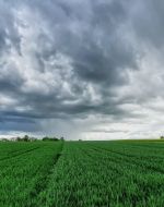 Kräftiger Dauerregen über Süddeutschland
